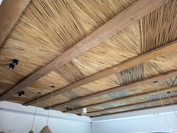 Img 20260126 120357 copia